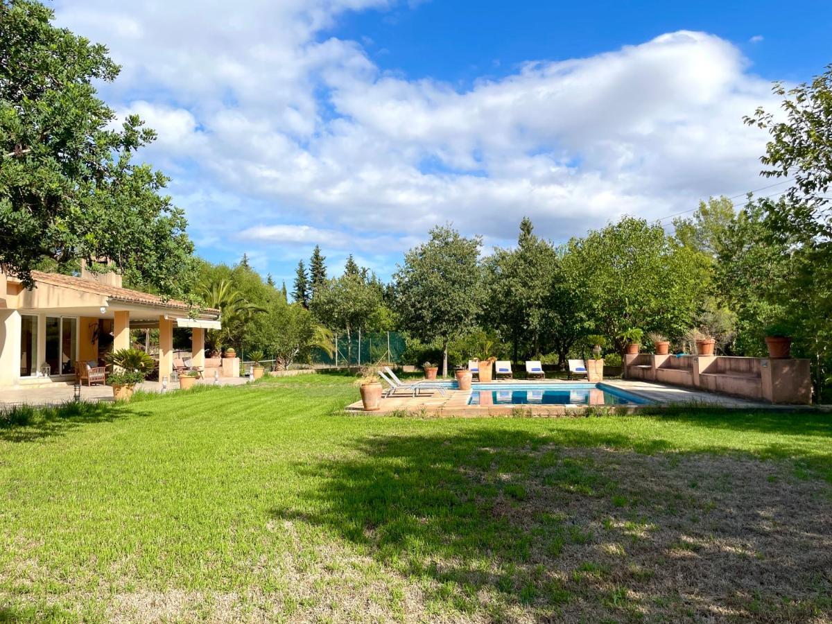 Confortable Chalet Con Piscina 布尼约拉 外观 照片